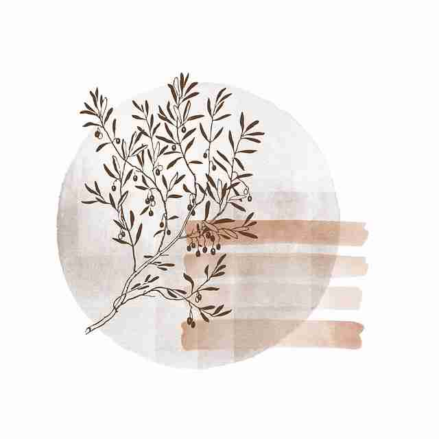17吃瓜流言去向:爆料生态案例复盘